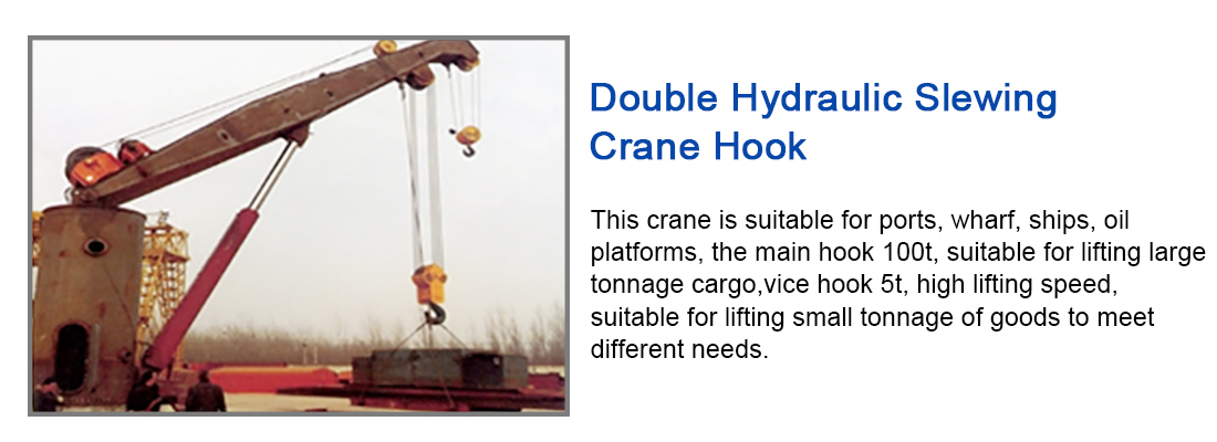 double hydraulic slewing crane hook