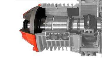 chain hoist motor